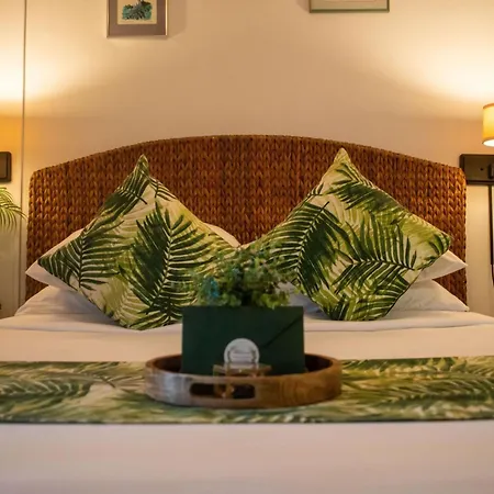 Andrews Inn & Garden Cottages Key West Extérieur photo
