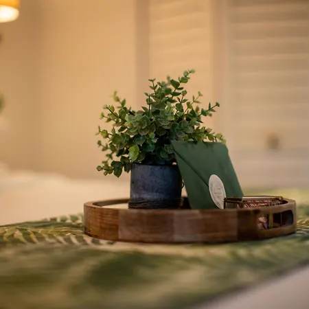 Andrews Inn & Garden Cottages Key West Extérieur photo